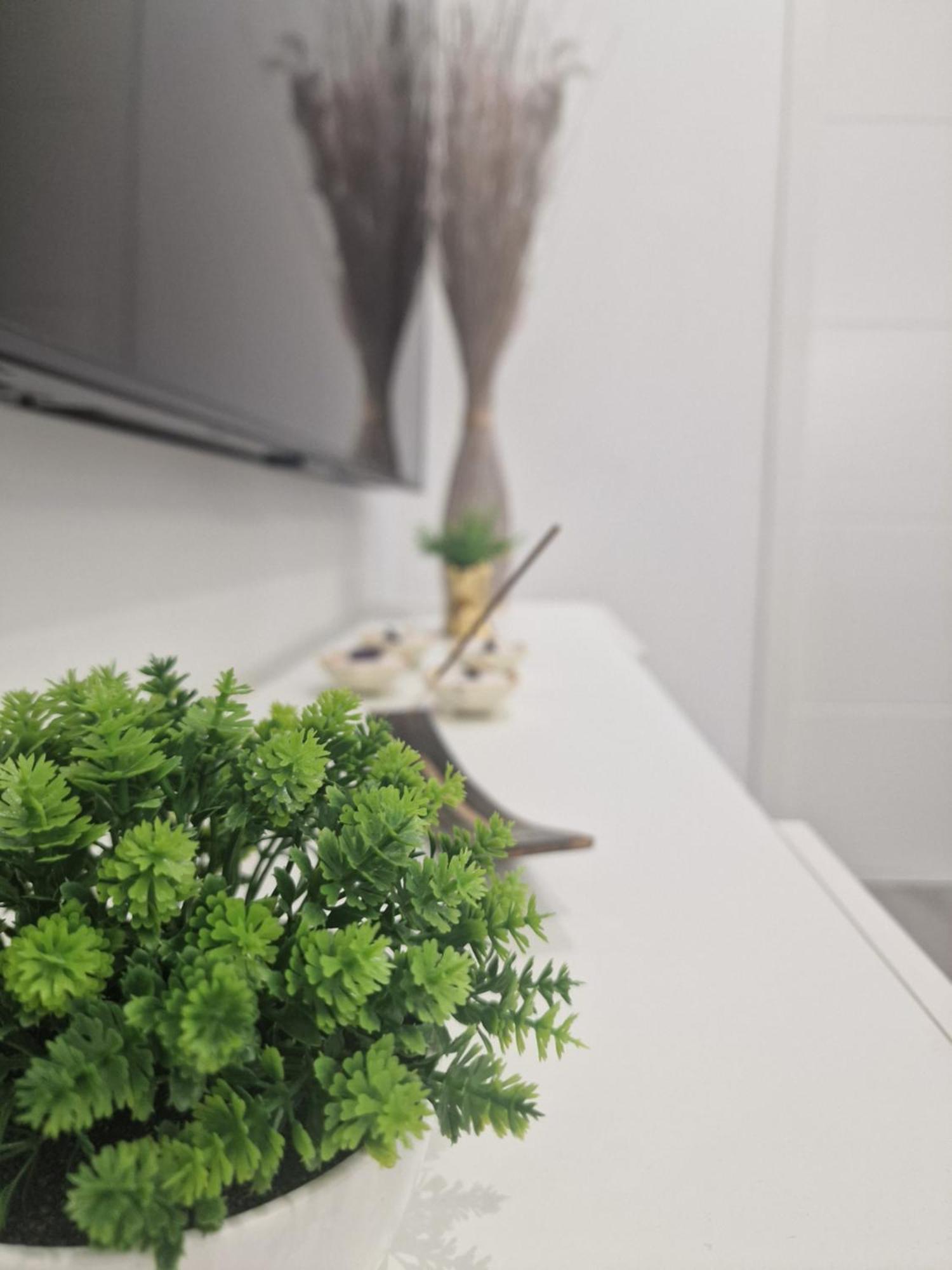 Barcelona, Apartamento De 1 Habitacion Διαμέρισμα Οσπιταλέτ ντε Λιοβρεγάτ Εξωτερικό φωτογραφία